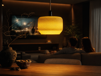 Auro Mesh Pendant Light