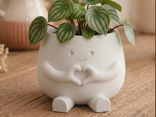 Hugsy Heart Succulent Planter