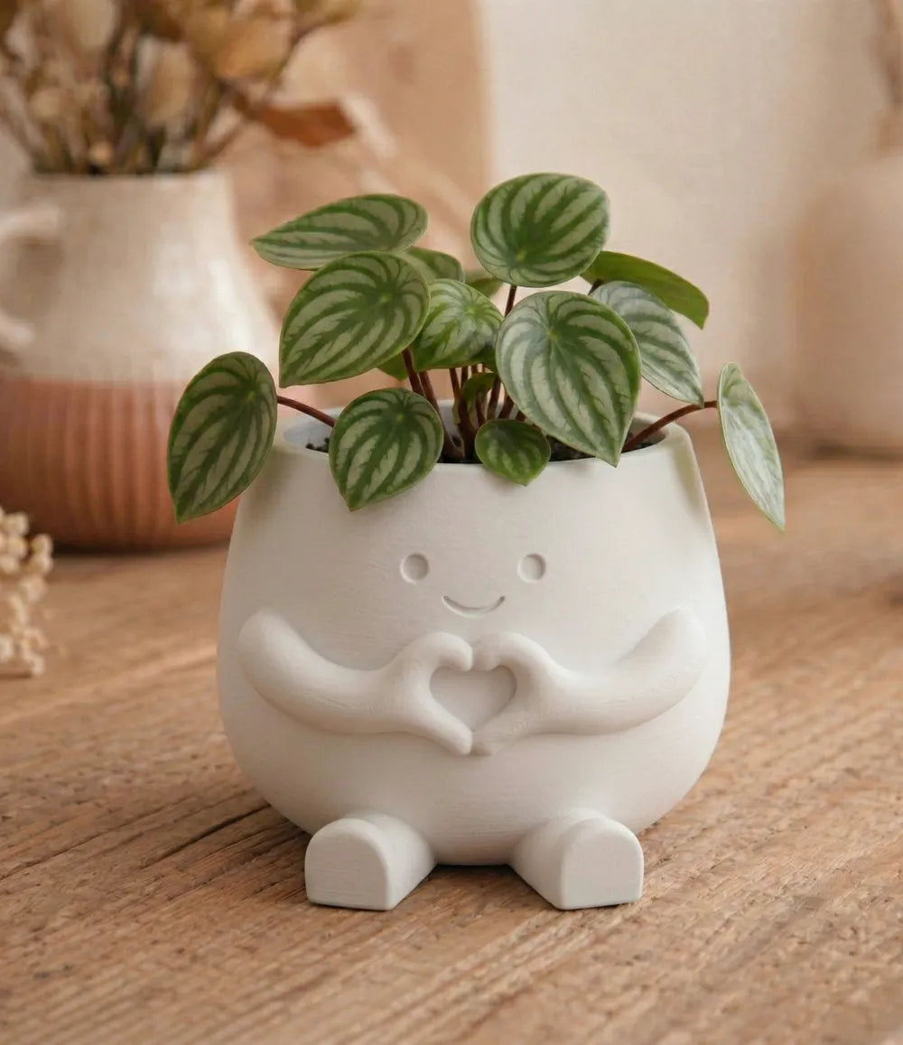 Hugsy Heart Succulent Planter