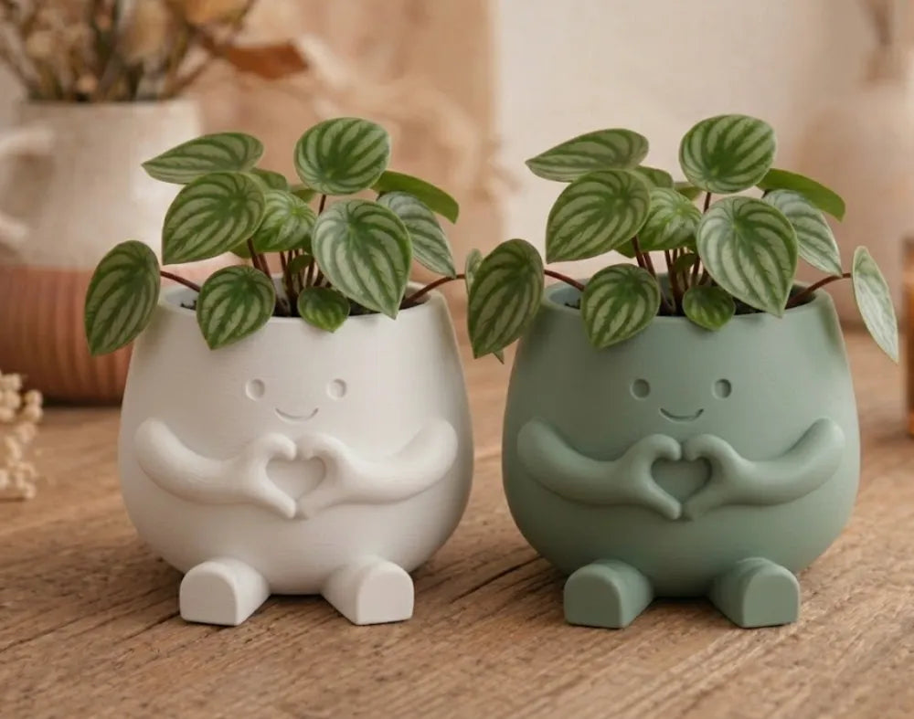 Hugsy Heart Succulent Planter