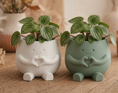 Hugsy Heart Succulent Planter