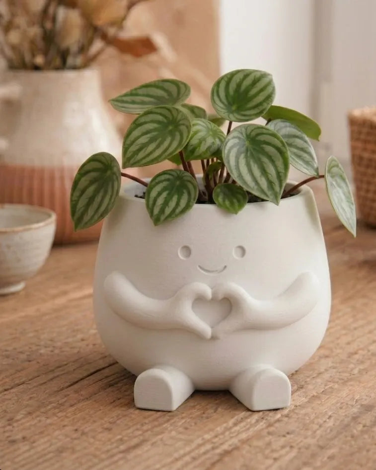 Hugsy Heart Succulent Planter