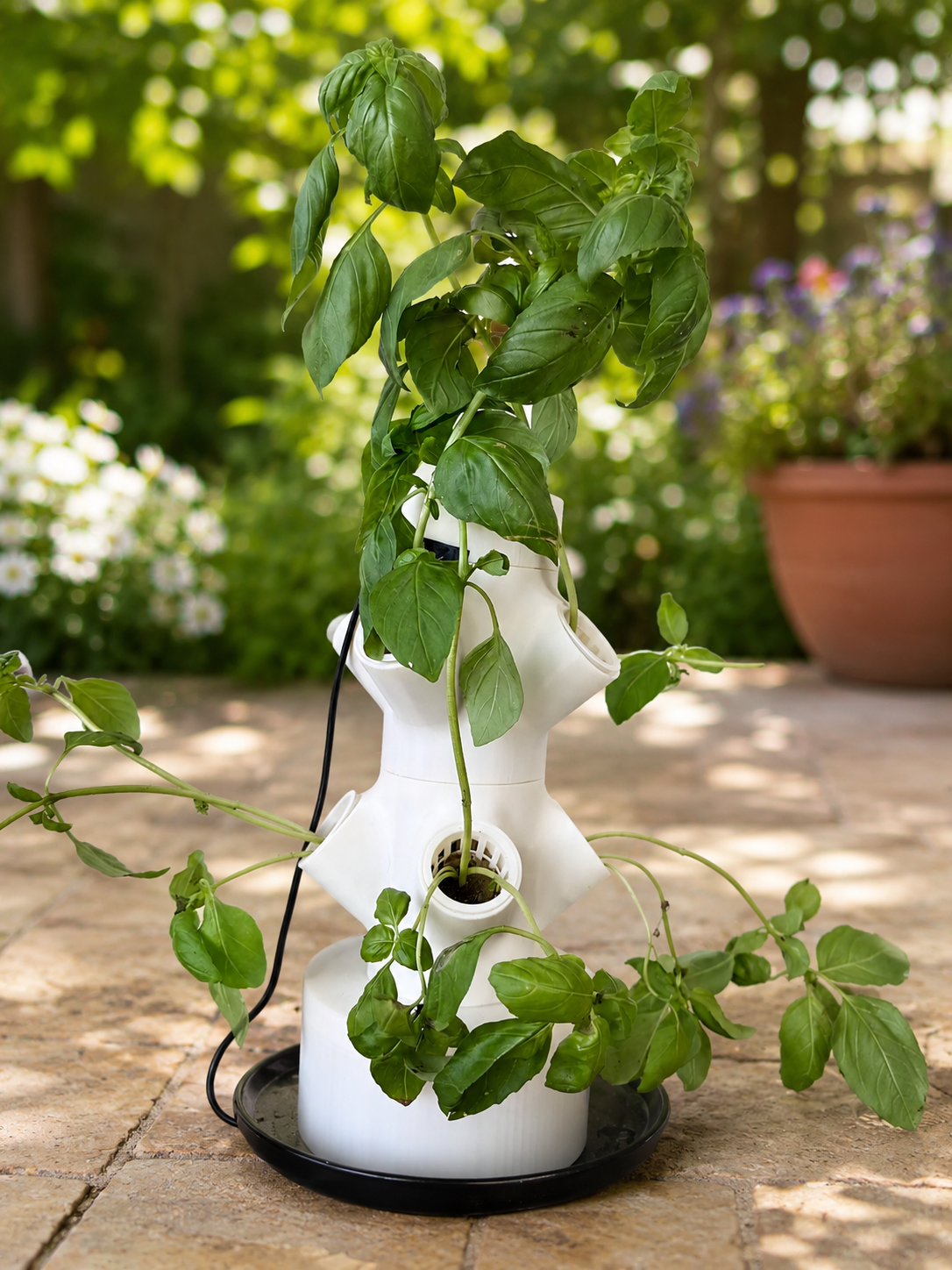 Grow fresh herbs at home with Maisonup Hydroponic Herb Tower. Compact vertical garden with timer pump, 12 plant cups, USB, battery and solar options