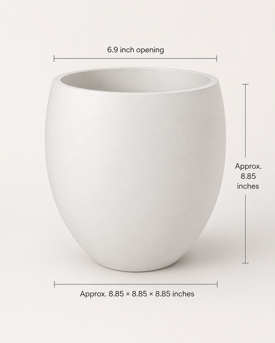 Modern rounded white planter vase with green indoor plant for premium home decor styling