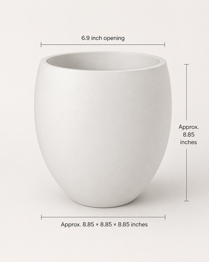 Modern rounded white planter vase with green indoor plant for premium home decor styling