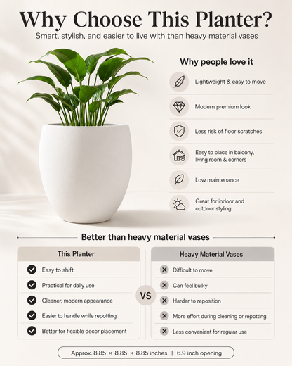 Why to buy this vase from Maisonup