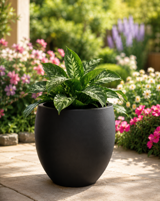 Modern matte white planter vase with lush green plant styled inside a premium drawing hall