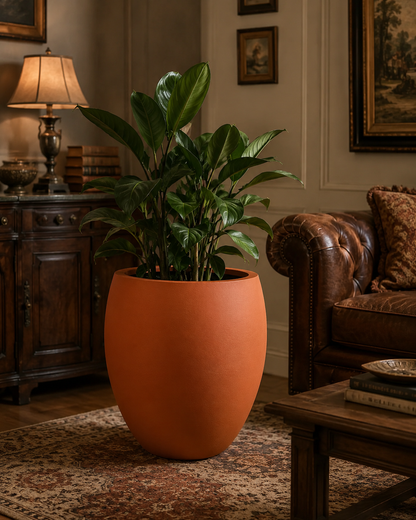 Premium matte white plant pot with green foliage placed near sofa in a modern home interior