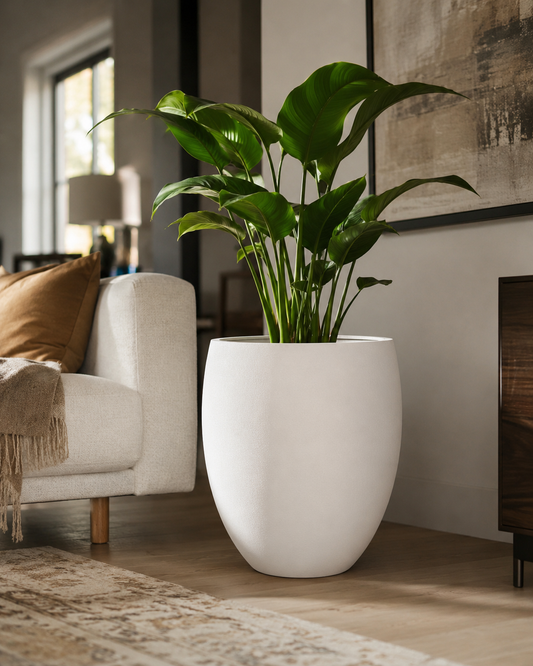 White premium planter vase with green indoor plant placed in a modern living room corner