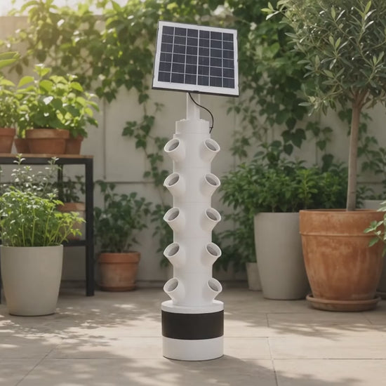 Self Watering planter